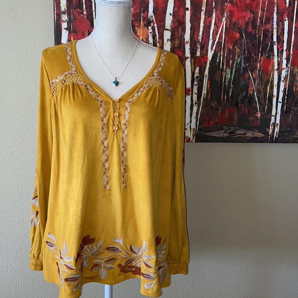 Bohemian Embroidered Velour Chamois Boho Hippie Indie Chic Blouse Tunic